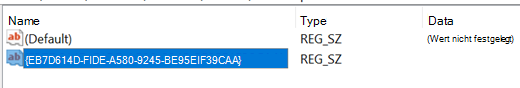 Screenshot des Produktcodes, der der Registrierung hinzugefügt wurde