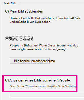 Screenshot des Lync-Fensters 