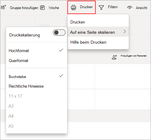 Screenshot: Option 