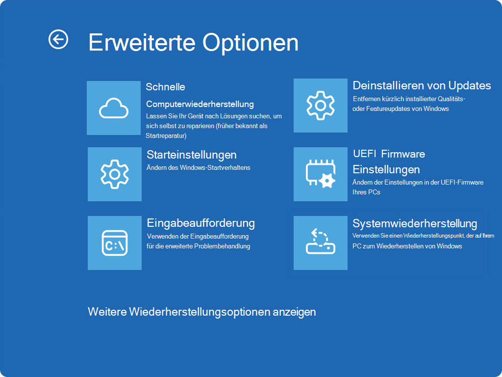 Screenshot: Windows RE mit erweiterten Optionen und dem neuen QMR-Eintrag.