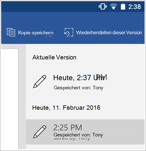 Screenshot der Option 