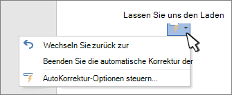 AutoKorrektur-Optionsschaltflächen und Menü für eine korrigierte Arbeit an einem Dokument