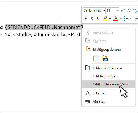 Feldcodes umschalten ausgewählt