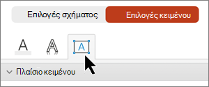 Επιλεγμένο πλαίσιο κειμένου, καρτέλα 