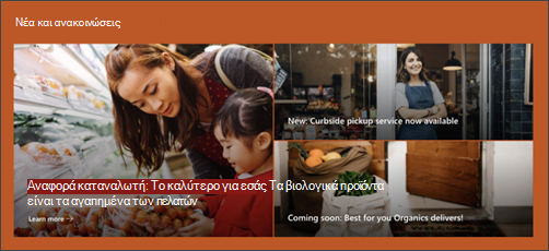 Στιγμιότυπο οθόνης του Τμήματος Web 