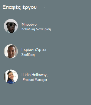 Στιγμιότυπο οθόνης του τμήματος Web People