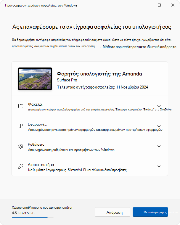 Στιγμιότυπο οθόνης της εφαρμογής Πρόγραμμα αντιγράφων ασφαλείας των Windows στο Windows 11.