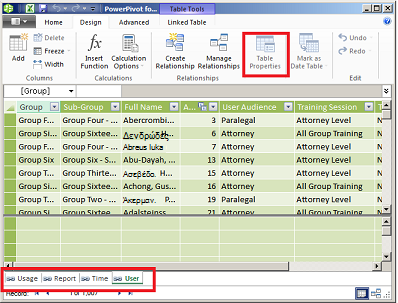 Παράθυρο με καρτέλες του PowerPivot