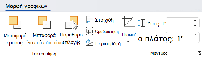 Οι επιλογές στην καρτέλα 
