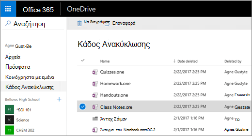 Κάδος ανακύκλωσης του OneDrive με μια λίστα σελίδων σημειωματαρίου.