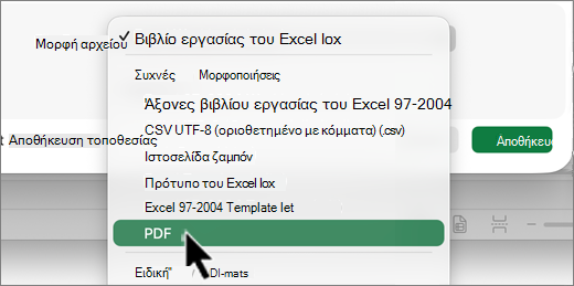 Στιγμιότυπο οθόνης με την επιλογή τύπου αρχείου Mac.