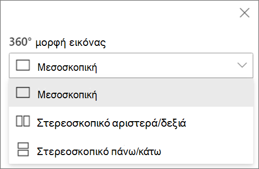 Επιλογές μορφοποίησης εικόνας 360°
