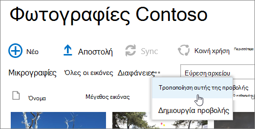 Γραμμή προβολής βιβλιοθήκης εικόνων με επιλεγμένη την 