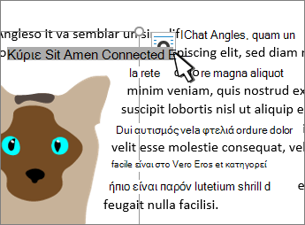Κουμπί 