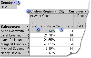 PivotTable view