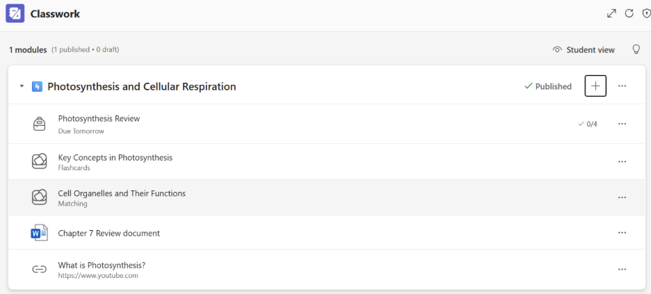 Screenshot of a Learning Activity displayed in the Classwork module alongside other resources.