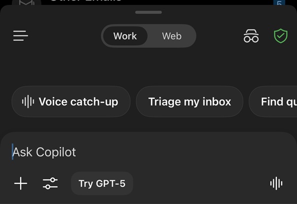 Location of Voice catch-up
