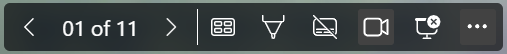 Screenshot of the slide show options