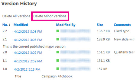 Delete All Minor Versions