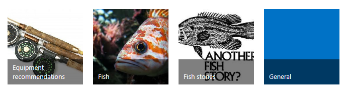 Four category tiles, each one with a fishing image and title