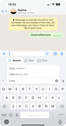 IOS Bing Search 3.png