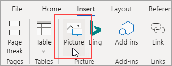 Click Picture on the Insert tab to add a picture from files on your computer.