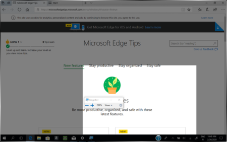 The Magnifier selection zoomed out to the whole view on a web site with the Magnifier selection highlighted.