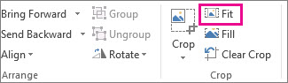 Crop Fit Tool