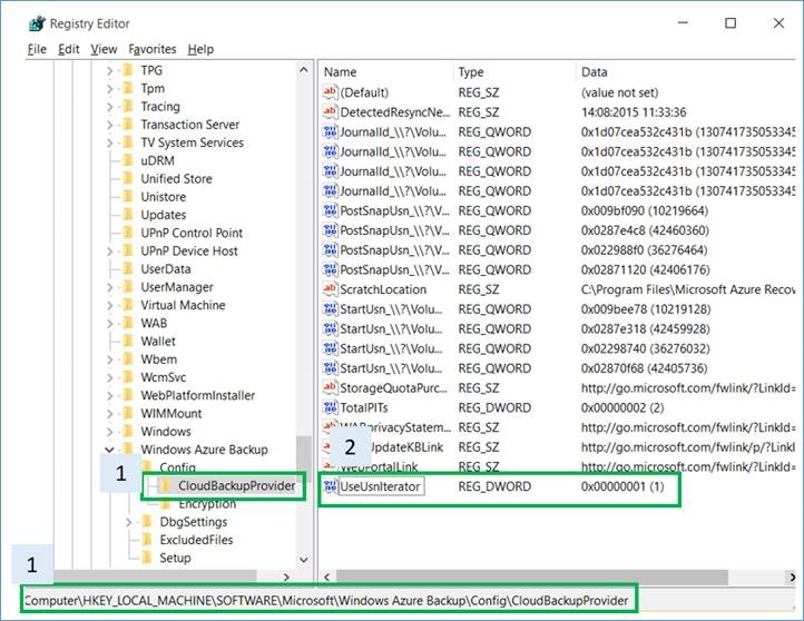The screen shot of the registry entry