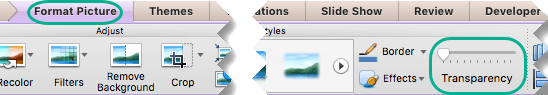 The Transparency slider for pictures is on the Format Picture tab when a picture is selected on a slide