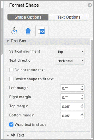 Screenshot of Format pane