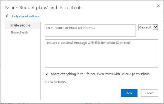 Folder sharing dialog box with Share everything in this folder, even items with unique permissions selected