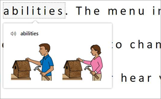 Screenshot of picture and hightlighted text.