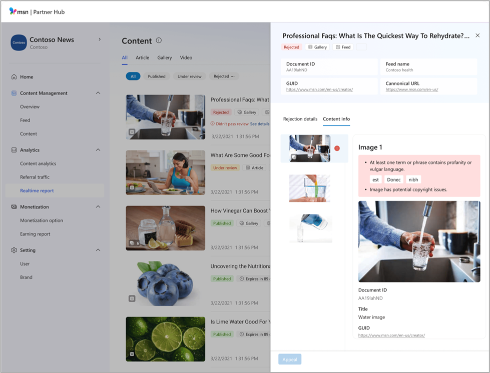 View of detailed information panels in MSN Partner Hub