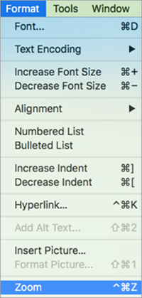 Shows selecting Zoom on the Format menu