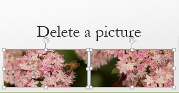 When press and hold the Control key, you can select more than one picture.