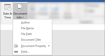 Screenshot showing Document Info and Date & Time buttons on the Word ribbon.