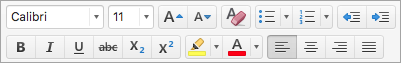 Shows the text formatting options