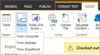 The Insert Picture button with the source options menu below it.