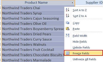 freeze fields in datasheet