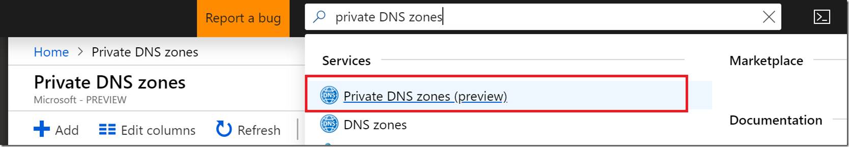 PrivateDNSPortal