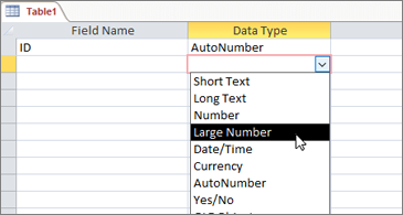 Screenshot that shows the Large Number datatype being chosen from a worksheet.