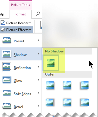 Turn off a picture effect you dont want by choosing the No Effect option.