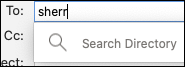 The search directory field in Outlook for Mac.