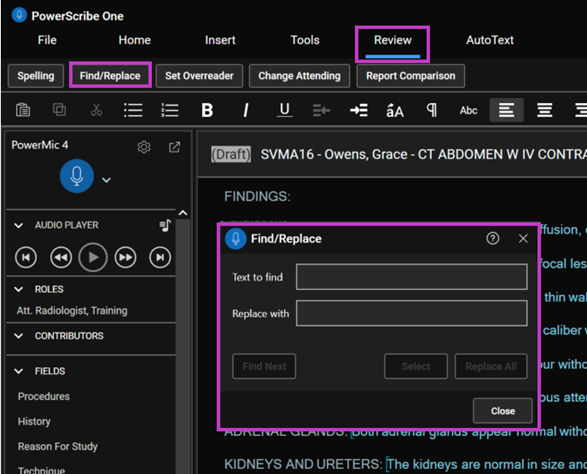 Find/Replace dialog box in Report Editor, showing Text to find and Replace with fields.