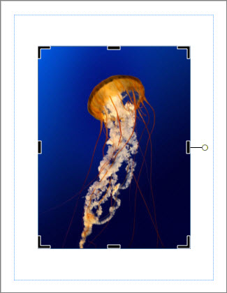 Crop Rotate Example