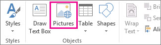 Insert Pictures