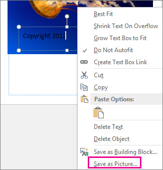 Save as Picture
