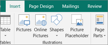 Click Insert, and then click Picture Placeholder