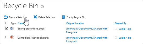 Restore or delete items from recycle bin.